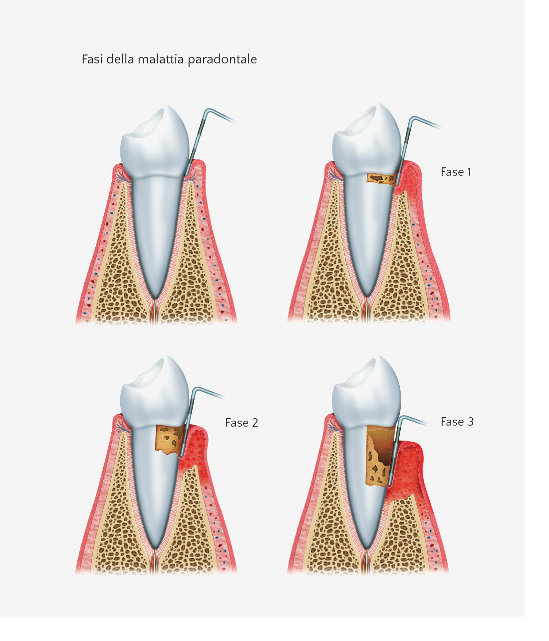 FlexSlider image